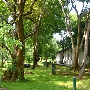 Sigiri Uyana , Sigiriya Sri Lanka